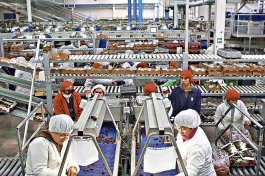 Fuerza de trabajo supera este año 9 millones de personas por mayor expectativa de encontrar empleo
